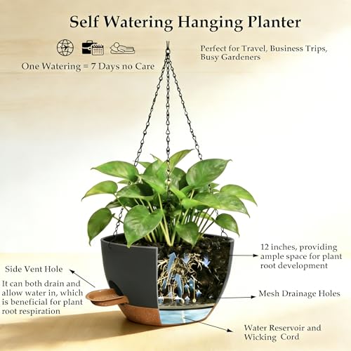 12 Inch Self Watering Hanging Planters 2 Pack, Indoor Outdoor Hanging Pots for Plants with Drainage Holes & Saucers, Black Brown Plastic Hanging Baskets for Kitchen Balcony Garden - color: Black Brown