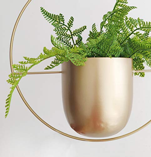 RISEON Boho Gold Metal Plant Hanger,Metal Wall and Ceiling Hanging Planter, Modern Planter, Mid Century Flower Pot Plant Holder, Minimalist Planter for Indoor Outdoor Home Decor - color: Gold, size: Round shape
