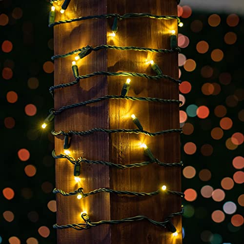 Novelty Lights 25ft 50 LED Warm White Christmas Lights Outdoor/Indoor, 6" Spacing, Green Wire String Lights for Festive Xmas Lighting, IP55, UL Listed, Dimmable, Connectable - color: Warm White