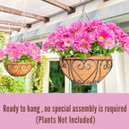 LaLaGreen Hanging Baskets for Plants (10 Inch, 2 Pack) Small Hanging Flower Pots with Coco Liner, Black Metal Wire Round Plant Holder with Hanger Hook Chain Outdoor Deck Patio Balcony Garden Decor - size: 10" x 2 Pack