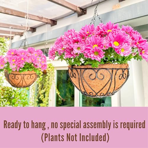 LaLaGreen Hanging Baskets for Plants (10 Inch, 2 Pack) Small Hanging Flower Pots with Coco Liner, Black Metal Wire Round Plant Holder with Hanger Hook Chain Outdoor Deck Patio Balcony Garden Decor - size: 10" x 2 Pack