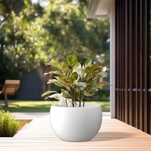 Kante 11.8" Dia Round Concrete Planter, Outdoor/Indoor Large Bowl Plant Pots with Drainage Hole and Rubber Plug for Garden Patio Balcony Home, Pure White - color: Pure White, size: 11.8" d