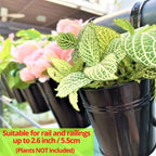LaLaGreen Railing Planter 10 Pack, 6 Inch Hanging Flower Pot Black, Outdoor Large Metal Iron Fence Bucket, Balcony Garden Wall Deck Porch Patio Rail Decor Hanger Hook Farmhouse Balcony 6'''' (15cm) - size: 6 Inch (Black)