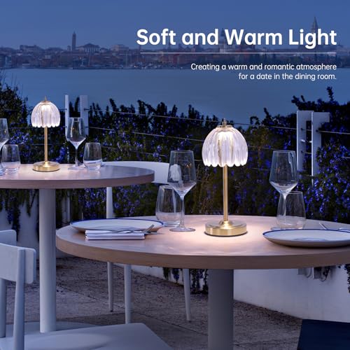 Shenmoyl Tulip Table Lamp with 5000mAh Battery & Touch Control, Cordless Table Lamp with 3 Colors, Dimmable Rechargeable Table Lamps for Bedroom, Nightstand, Living Room, Entryways (Transparent Tulip) - color: Transparent Tulip, size: 1 Pack