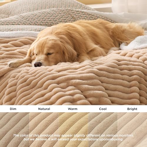 Bedsure ComfyFleece™ Waterproof Dog Blankets for Small Dogs - Soft Puppy Cat Blanket Corduroy Fleece Washable, Cozy Calming Reversible Furniture Protection for Pet Kitten Doggy,25"x35", Tuscan Beige - color: Sandy Beige, size: S(25x35")-1pc