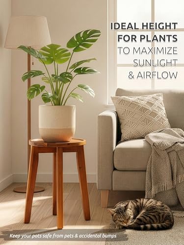 Demigo 15-Inch Tall Plant Stand for Indoor & Outdoor Use, Acacia Wooden Decorative Plant Shelf with Spill-Proof Tray, Flower Holder for Heavy Pots, Gardening Display - Natural Brown - color: Natural Acacia, size: Tall