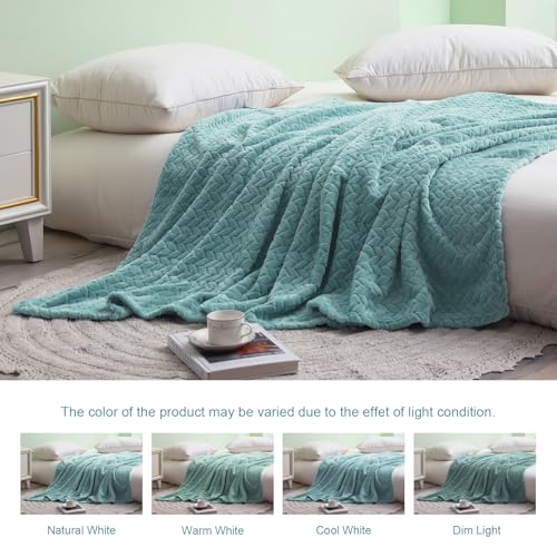 Exclusivo Mezcla Fleece Twin Size Blanket for Bed, 60x80 Inches Soft Cozy Jacquard Flannel Blankets, Lightweight Fuzzy Plush for Women, Celadon - color: Celadon, size: Twin ( 60x80 IN )