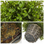 Hollyone Artificial Boxwood Plant in Woven Pot 9” Fake Potted Plants Topiary Boxwood Greenery Arrangement Centerpiece Faux Plants for Home Indoor Outdoor Farmhouse Office Desk Centerpiece Shelf Decor