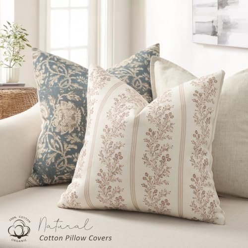 Vintage Throw Pillow Covers 20x20 Set of 2, Striped Floral Pillow Cover Botanical Patterned Decorative Cushion Covers Modern Farmhouse Home Decor for Sofa Couch Bed Living Room, Blush Bloom - color: Blush Bloom, size: 20" x 20" (Pack of 2)