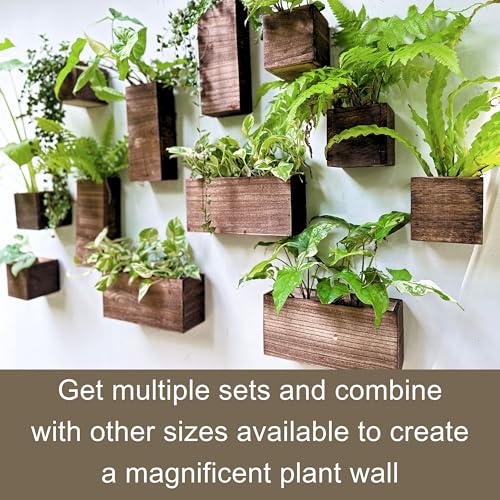 LaLaGreen Wood Planter Box for Plants (6 Pack) Wooden Hanging Wall Planters for Indoor Plant Holder Vase for Dried Flowers, Modern Farmhouse Wall Decor Living Room Bedroom Kitchen Office Home Garden - size: 6-pc Set A