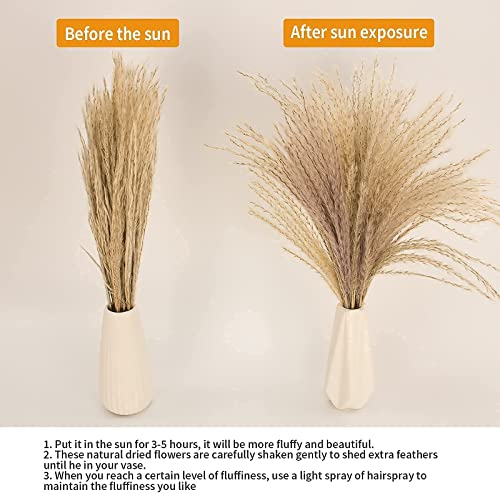65PCS Pampas Grass Decor, Including pompas Floral, Reed Dried Grass and Bunny Tails Dried Flowers, Natural Dried Pampas Grass Bouquet for Boho Decor Wedding, Home Decoration - size: 65PCS