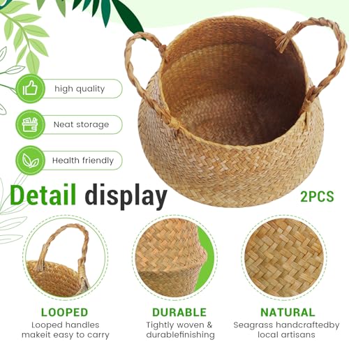 Knitgrip Large Wicker Plant Basket with Handle 10 Inch Woven Seagrass Belly Basket and Artificial Moss for House Plants Picnic Grocery Laundry Storage Home Decor(Large,Original,2 Pack) - color: Original, size: Large