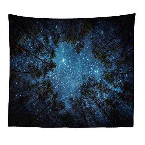 Llamazing Forest Landscape Tapestry for Living Room & Bedroom - Magic Tapestry Curtain (Looking Up at The Stars, 60''L51''W) - color: Looking Up at The Stars, size: 60"L x 51"W