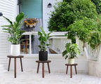 Amdermi 3 Pack Wood Plant Stands Indoor, Mid Century Modern Plant Stool for 6-12 Inch Pots, Tall Small Plant Stand Set for Living Room, Balcony, Office - color: Dark Brown