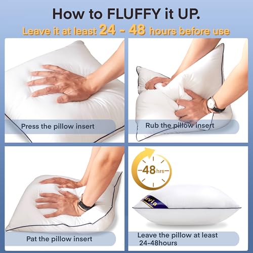 Siluvia 28"x28" Pillow Insert Set of 2 Square Throw 28 Pillows with 100% Cotton Cover for Sofa, Couch, and Bed - White - size: 28"x28"