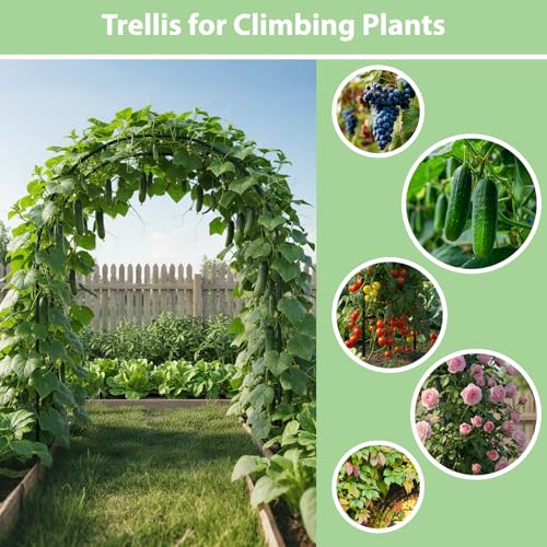 RUBFAC 7.8ft Garden Arch Trellis for Climbing Plants Outdoor, Metal Arch Frame Garden Arbors and Arches, Outdoor Archway for Flower Vines Wedding Bridal Party Decoration, Black - color: black