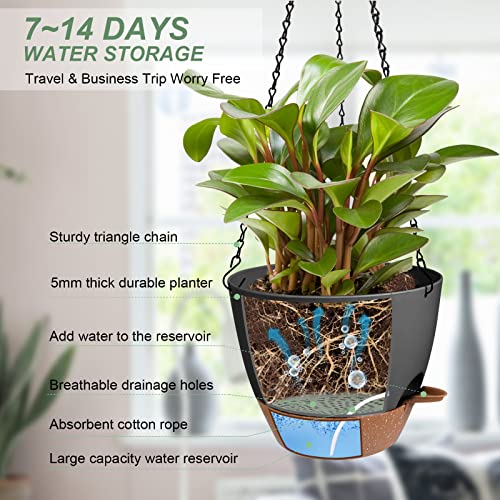 Vanslogreen Hanging Planters for Indoor Outdoor Plants, 2 Pack Self Watering Hanging Pot with Drainage Holes & Removable Tray (Black, 6'') - color: Black, size: 6''
