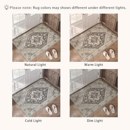 Tangsoo 2x3 Washable Rugs for Entryway, Vintage Non Slip Small Area Rug, Farmhouse Indoor Front Door Rug, Door Mat Small Carpet, Soft Low Pile Entry Rug for Entrance Kitchen Bedroom Grey/Multi - color: Grey/Multi, size: 2' X 3' (Rectangular)