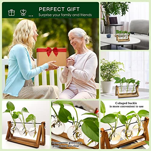 Kingbuy Desktop Glass Planter Iron and Wooden Stand Plant Terrariums for Indoor Office Desk Decor Accessories, 3 Bulb Vases, Brown - size: 3 Bulb Vase (C-type)