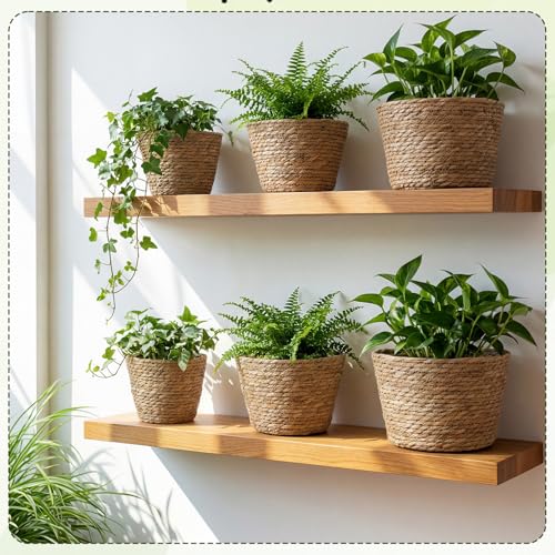AceOrbit 12 Pcs Wicker Plant Basket Bulk with Liners Woven Planter Baskets Bulk for Indoor Outdoor Seagrass Plants Woven Wicker Baskets for Flower Pots Cover and Room Decor (Mixed Size,Rustic) - color: Rustic, size: Mixed Size