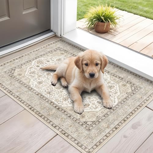 HILORUUG Washable Area Rug 2x3 - Entryway Living Room Large Indoor Rugs Soft Oriental Vintage Bedroom Rugs Non-Slip Backing Stain Resistant for Farmhouse Kitchen-2x3 Ivory - color: Ivory, size: 2' x 3' (Rectangular)