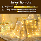 Dailyart Globe String Lights, 120LED 68FT Waterproof Fairy Lights Plug in 8 Modes with Remote Control, Brightness Adjustable &Timing String Lights Indoor Outdoor, Fairy Lights for Bedroom, Warm White - size: 68FT