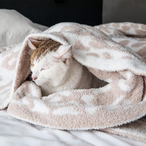 MH MYLUNE HOME Ultra Soft Leopard Throw Blanket (50x60 inches) Khaki Microfiber Blankets Plush Warm Reversible Cheetah Blanket Leopard Pattern Throw for Couch Bed Sofa, Khaki, 50"x60", 410GSM - color: Leopard Khaki, size: 50"x60" - 410 GSM