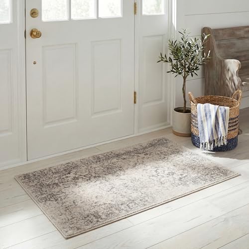 SAFAVIEH Adirondack Collection Accent Rug - 2' x 3', Ivory & Silver, Distressed Vintage Floral Design, Non-Shedding & Easy to Clean, Ideal for Front Door, Kitchen, Entryway, Foyer (ADR109C) - color: Ivory/Silver, size: 2' x 3' (Rectangular)