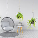 4 Pcs Hanging Plant Extender Macrame Plant Hanger Extender Large Hanging Rope for Spring Wall Holders Indoor Outdoor Home Decor