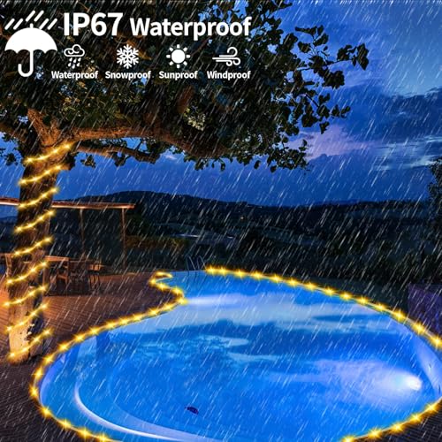 LairtPOW Solar Rope Lights with Remote for Palm Tree,39FT 100LEDs Outdoor Solar Strip Lights for Garden,IP67 Waterproof,USB Charging, Timing & 8 Modes Larger Tube Fairy Light for Christmas(Warm White) - color: Brighter-Warm White, size: 100 LED