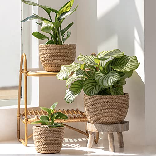 La Jolíe Muse Seagrass Planter Basket Indoor, Flower Pots Cover, Plant Containers, Natural, 3-Pack - color: Brown