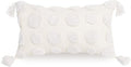 PLWORLD Boho White Lumbar Throw Pillow Cover 12x20 Inch with Tassels, Pom Pom Tufted Cream Chenille Fabric Small Accent Textured Cushion Case for Bed Couch, 1 PC Cover Only No Insert