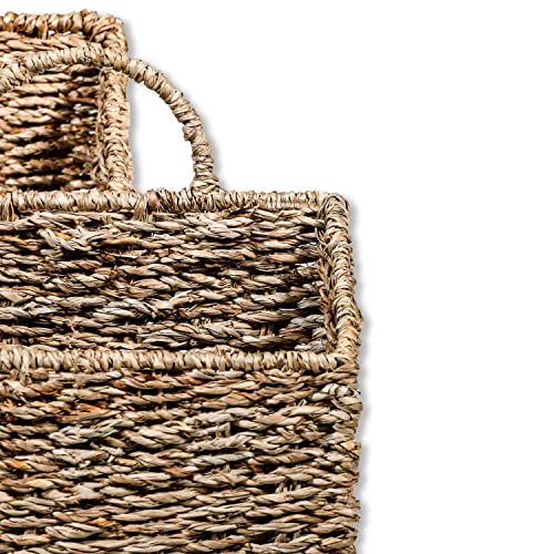 Trademark Innovations Hanging Wall Mounted Baskets - Set of 2 (Small) - size: Small