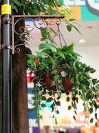 4pcs 14 inch Black Hanging Basket Chain with Hooks Flower Plant Pot Replacement Chain Hanger for Bird Feeders,Planters,Lanterns and Ornaments - size: 14 inch (4pcs)