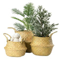 Seagrass Plant Basket with Handles Set of 3 - Woven Belly Basket Planter with Liner for Indoor Plants, Olive Tree, Monstera, Snake Plant, Faux Tree, 8" 9" 10" 12 Inch Pots, Boho Floor Basket