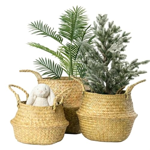 Seagrass Plant Basket with Handles Set of 3 - Woven Belly Basket Planter with Liner for Indoor Plants, Olive Tree, Monstera, Snake Plant, Faux Tree, 8" 9" 10" 12 Inch Pots, Boho Floor Basket