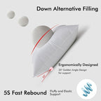MIULEE 22x22 Pillow Inserts,Down Alternative Pack of 2 Euro Decorative Throw Pillows for Sofa Couch Bed, Ultra Soft Fluffy Bed Sleeping Form