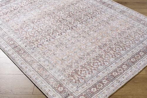 Hauteloom Tosca Machine Washable Area Rug - Floral Border Distressed Geometric Faded - Traditional Oriental Turkish Transitional Oushak - Dark Red, Beige, Cream, Blush, Gray - 2' x 2'11" - color: Brown, Beige, Cream / Tosca, size: 1'11" x 2'11" (Rectangul