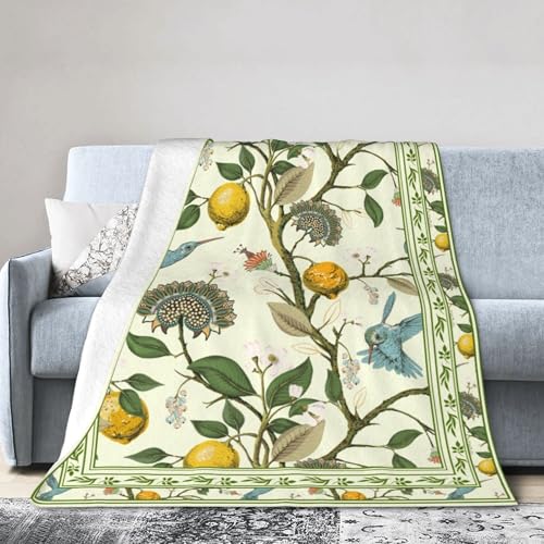 Lemon Throw Blanket for Couch Chair Sofa Bed, Flannel Soft Watercolor Summer Fruits Paisley Floral Bird Vintage Blanket for Bedroom Living Room Car, Warm Cozy Blankets for All Season 30"x 40" - color: Lemon07, size: 30X40 inch
