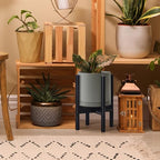 D'vine Dev Ceramic Planter with Ebony Stand - 8 Inch Modern Round Flower Pot with Wood Planter Holder, Grey, 55-B-M-3 - color: Grey Pot + Ebony Stand, size: 8 Inch