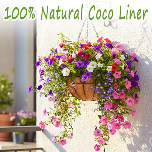2 Pack 12 Inch Outdoor Plant Hanging Basket Round Metal Hanging Planter with Coco Coir Liner Black Metal Chain for Indoor Plants Baskets Railing Flower Pots Home Decor Flowers - color: Circular