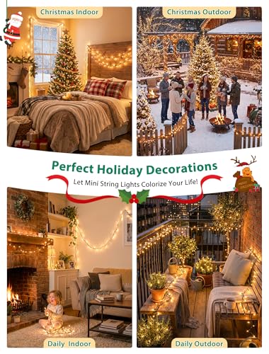 YOUNGAR Clear Christmas Lights Outdoor, 13FT 50 Warm White String Christmas Lights with Green Wire, Connectable Incandescent Mini Light Plug in Indoor Outdoor Tree Patio Garden Festival Decoration - color: Warm White, Green Wire, size: 50 Count 1Pack