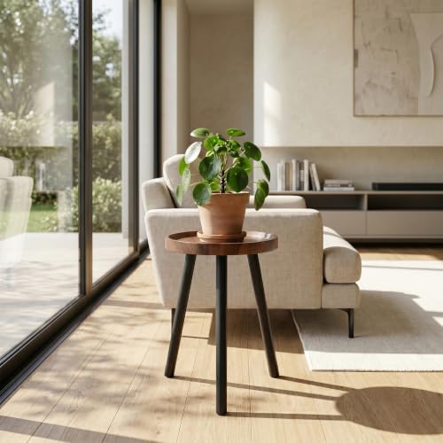 Mid Century Wood Plant Stand – 120 lbs Heavy Duty Plant Stand with Raised Tray & Spray Painted Legs, Solid Wood Side Table for Living Room, Bedroom, Entryway, Small Footprint for Plants, Decor (2 Pcs) - color: New