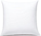 JIEITIVE Throw Pillow Inserts Hypoallergenic Premium Pillow Stuffer Square Form for Decorative Pillow Covers Cushion Set of 1-20 x 20 Inches