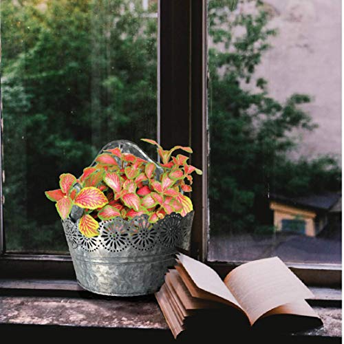 Lily's Home Indoor Outdoor Wall Mounted Planter with Floral Accents for Succulents, Cacti, Herbs, Faux Plants, Galvanized Metal. Plants Not Included
