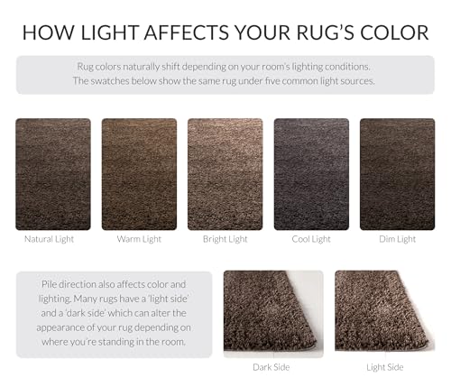 SAFAVIEH August Shag Collection Accent Rug - 2'3" x 4', Brown, Solid Design, Non-Shedding & Easy Care, 1.2-inch Thick Ideal for High Traffic Areas in Entryway, Living Room, Bedroom (AUG900T) - color: Brown, size: 2'3" x 4' (Rectangular)