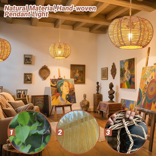 Hanging Lights with Plug in Cord Rattan Hanging Lamp Boho Ceiling Light Fixtures Farmhouse Pendant Lamp Shape for Living Room Bedroom Kitchen - size: 11.8 Inch-Ball Cactus Shade