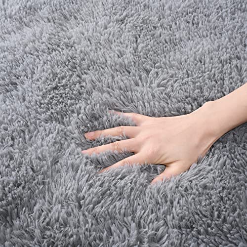 DETUM Grey Small Rug 2X3 Fluffy Rugs for Bedroom Kicthen Entryway Hallyway Washable Gray Area Rug Super Soft Throw Rug Room Decor Plush Rugs Kids Room Dorm - color: Grey, size: 2 x 3 feet