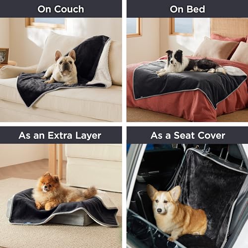 Bedsure Cat Blanket for Indoor Cats - Waterproof Calming Cat Blankets for Kitten, Sherpa Fleece Pet Blanket, Soft Plush Reversible Throw Furniture Protector, 35"x25", Black - color: Black, size: S(25x35")