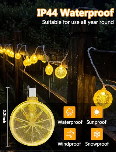 GOOTHY Lemon String Lights Plug in, 8.5Ft Outdoor Fairy Decorations String Lights with 10 LED Yellow Lemon Slice Lights, Hanging Novelty Summer Patio Lights for Garden Kitchen Christmas Wedding Party - color: Lemon Lights